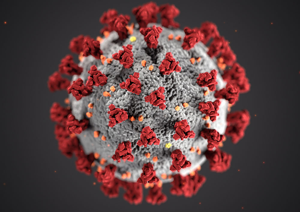 Coronavirus Covid-19 pandemic